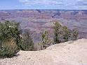 Grand Canyon (39)